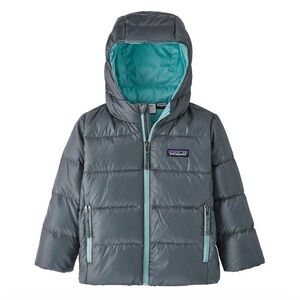 Patagonia Hi-Loft Down Hoody